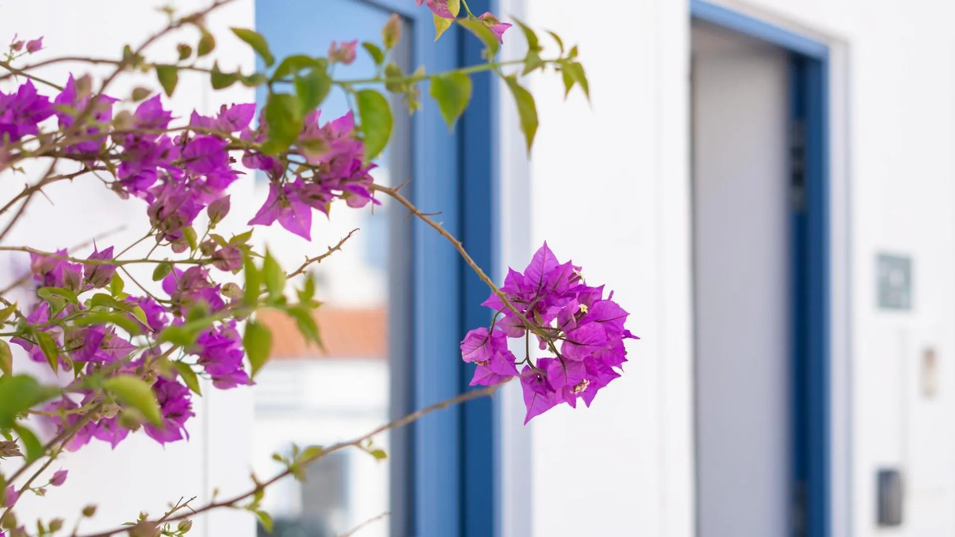 Stylish Slow Living 1 Bdr House By Lovelystay Vila do Bispo 0*,  Portugalia
